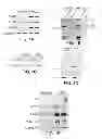 Fig. 02 - Antibodies which bind type I cannabinoid receptor/angiotensis II receptor heteromers