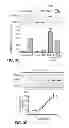 Fig. 06 - Antibodies which bind type I cannabinoid receptor/angiotensis II receptor heteromers