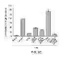 Fig. 07 - Antibodies which bind type I cannabinoid receptor/angiotensis II receptor heteromers