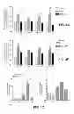 Fig. 08 - Antibodies which bind type I cannabinoid receptor/angiotensis II receptor heteromers
