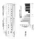 Fig. 14 - Antibodies which bind type I cannabinoid receptor/angiotensis II receptor heteromers