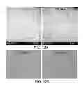 Fig. 22 - Antibodies which bind type I cannabinoid receptor/angiotensis II receptor heteromers