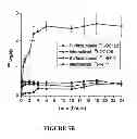 Fig. 22 - Antibodies to MUC16 and methods of use thereof