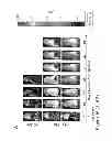 Fig. 45 - Antibodies to MUC16 and methods of use thereof