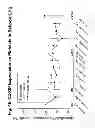 Fig. 47 - Methods of inhibiting alternative pathway complement activation with anti-factor D antibodies