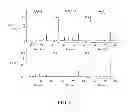 Fig. 09 - COMPOSITIONS AND METHODS FOR THE PREVENTION OF OXIDATIVE DEGRADATION OF PROTEINS