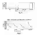 Fig. 06 - ADJUVANT FORMULATIONS FOR BACTERIAL AND VIRUS VACCINES AND METHOD OF MAKING SAME