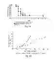 Fig. 09 - ADJUVANT FORMULATIONS FOR BACTERIAL AND VIRUS VACCINES AND METHOD OF MAKING SAME