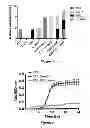 Fig. 02 - Micelle encapsulation of a combination of therapeutic agents