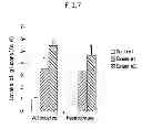 Fig. 07 - Composition for preventing or improving metabolic syndrome comprising tea plant leaf, flower and seed extract