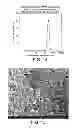 Fig. 09 - WHEY PROTEIN MICELLES