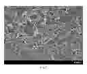 Fig. 06 - Conductive polymer, synthesis method thereof, and electroactive electrode covered with said conductive polymer