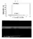 Fig. 09 - Zinc oxide precursor and method of depositing zinc oxide-based thin film using the same