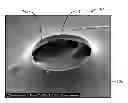Fig. 01 - Films and methods of manufacture