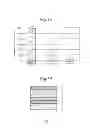 Fig. 08 - White hard decorative member