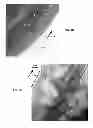 Fig. 08 - Hybrid energy storage devices including surface effect dominant sites