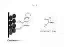 Fig. 02 - Positive electrode for lithium rechargeable battery and lithium rechargeable battery including the same