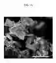 Fig. 02 - POSITIVE ACTIVE MATERIAL FOR RECHARGEABLE LITHIUM BATTERY AND RECHARGEABLE LITHIUM BATTERY INCLUDING SAME