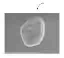 Fig. 01 - Chemically prepared toner formulation including a borax coupling agent