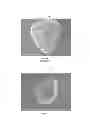 Fig. 02 - Chemically prepared toner formulation including a borax coupling agent