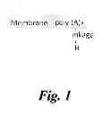 Fig. 02 - POROUS MEMBRANES HAVING A POLYMERIC COATING AND METHODS FOR THEIR PREPARATION AND USE