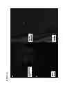 Fig. 16 - COMPOSITIONS AND METHODS FOR DETECTING VIRAL INFECTION USING DIRECT-LABEL FLUORESCENCE IN SITU HYBRIDIZATION