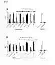 Fig. 05 - Disulphide bond-stabilized functional soluble MHC class II heterodimers
