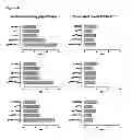Fig. 08 - Disulphide bond-stabilized functional soluble MHC class II heterodimers