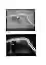 Fig. 05 - Chimeric avian-based screening system containing mammalian grafts