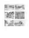 Fig. 09 - Chimeric avian-based screening system containing mammalian grafts