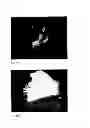 Fig. 10 - Chimeric avian-based screening system containing mammalian grafts