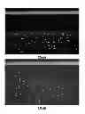 Fig. 06 - Cell culture and gradient migration assay methods and devices