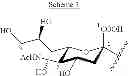Fig. 05 - Synthesis of sialooligosaccharide derivatives
