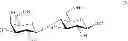 Fig. 08 - Synthesis of sialooligosaccharide derivatives