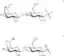 Fig. 16 - Synthesis of sialooligosaccharide derivatives
