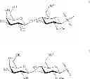 Fig. 22 - Synthesis of sialooligosaccharide derivatives