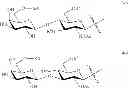 Fig. 34 - Synthesis of sialooligosaccharide derivatives