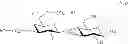 Fig. 43 - Synthesis of sialooligosaccharide derivatives