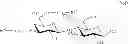 Fig. 48 - Synthesis of sialooligosaccharide derivatives