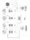 Fig. 03 - Enhanced Isolation For Combinatorial Atomic Layer Deposition (ALD)