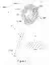 Fig. 02 - Bubble making wand