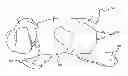 Fig. 01 - CONVERTIBLE TOY, PILLOW, AND BLANKET APPARATUS AND ASSOCIATED METHOD OF USE