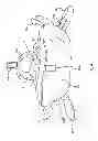 Fig. 05 - CONVERTIBLE TOY, PILLOW, AND BLANKET APPARATUS AND ASSOCIATED METHOD OF USE