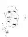 Fig. 02 - Reduction of cephalic absorption of radiation from mobile communication devices