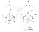 Fig. 01 - First hub and second hub communicating by temporal connection between different wireless body area networks (WBANs) and communication method thereof