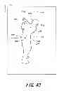 Fig. 41 - Diagnosing method of golf swing