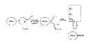 Fig. 01 - Systems and methods of delivery of bioactive agents using bacterial toxin-derived transport sequences