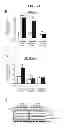 Fig. 03 - Composition for treating sepsis or septic shock comprising the peptide originated from the Smad6