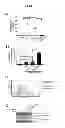 Fig. 08 - Composition for treating sepsis or septic shock comprising the peptide originated from the Smad6