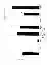 Fig. 11 - MULTIMERIC TIE 2 AGONISTS AND USES THEREOF IN STIMULATING ANGIOGENESIS